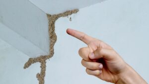 Targeted Spot Treatments