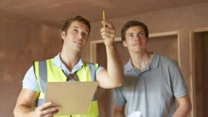 Inspection and Consultation