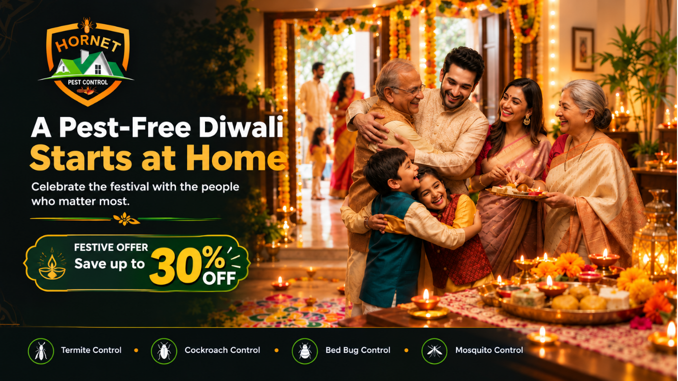 A Pest-Free Diwali Starts at Home - Festive offer, save up to 30% off on Hornet Pest Control services